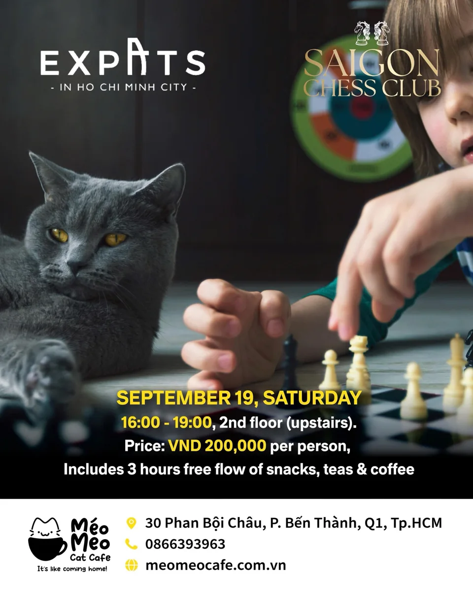 Cat café time at Méo Meo Cat Cafe — D1